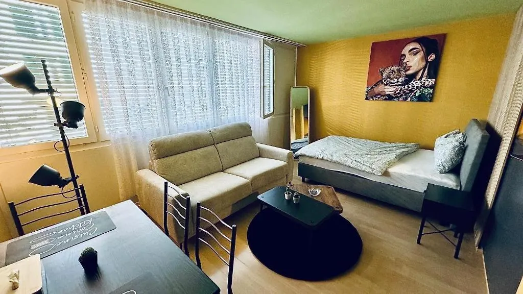 Ferdinands Gateaway Inkl Breakfast Apartment Bern 0*,